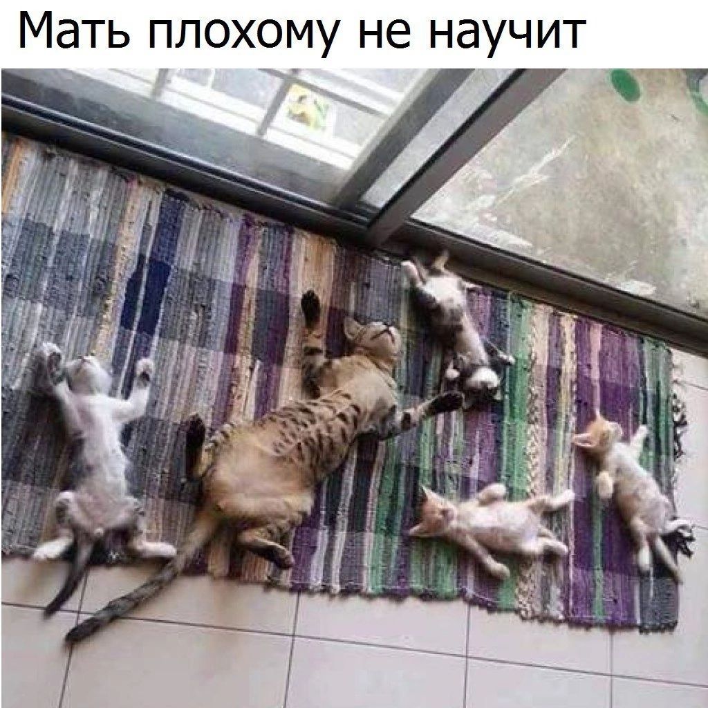 Мать плохому не научит