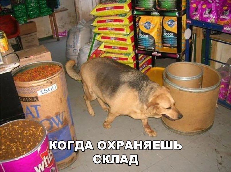 КОГДА 5 _ екшАд