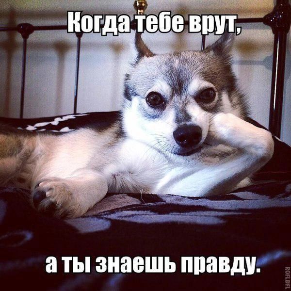 а ТЫ знаешь ппавду