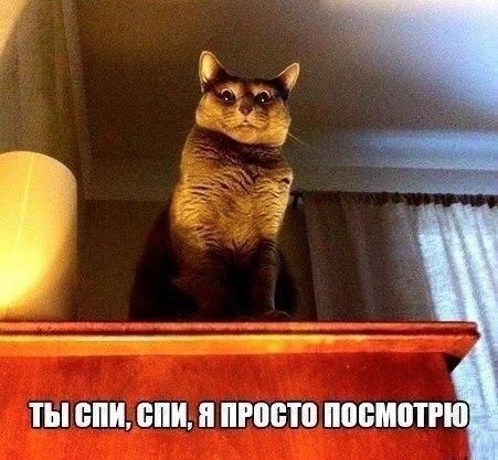 ТЫ СПИ СИ Я ПРОСТО ПОСМОТРЮ
