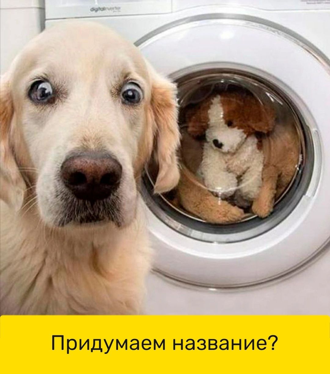 Придумаем название