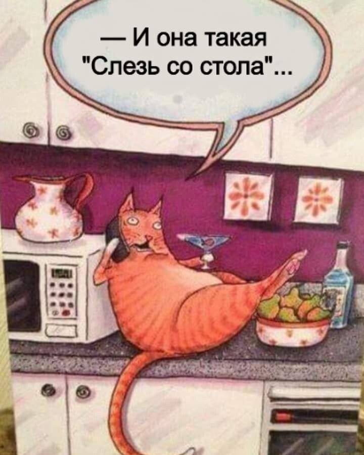 И она такая Слезь со стола