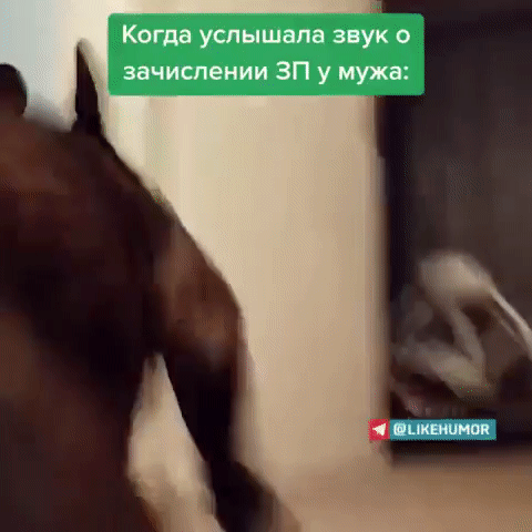 Когда услышала звук о зачислении ЗП у мужа