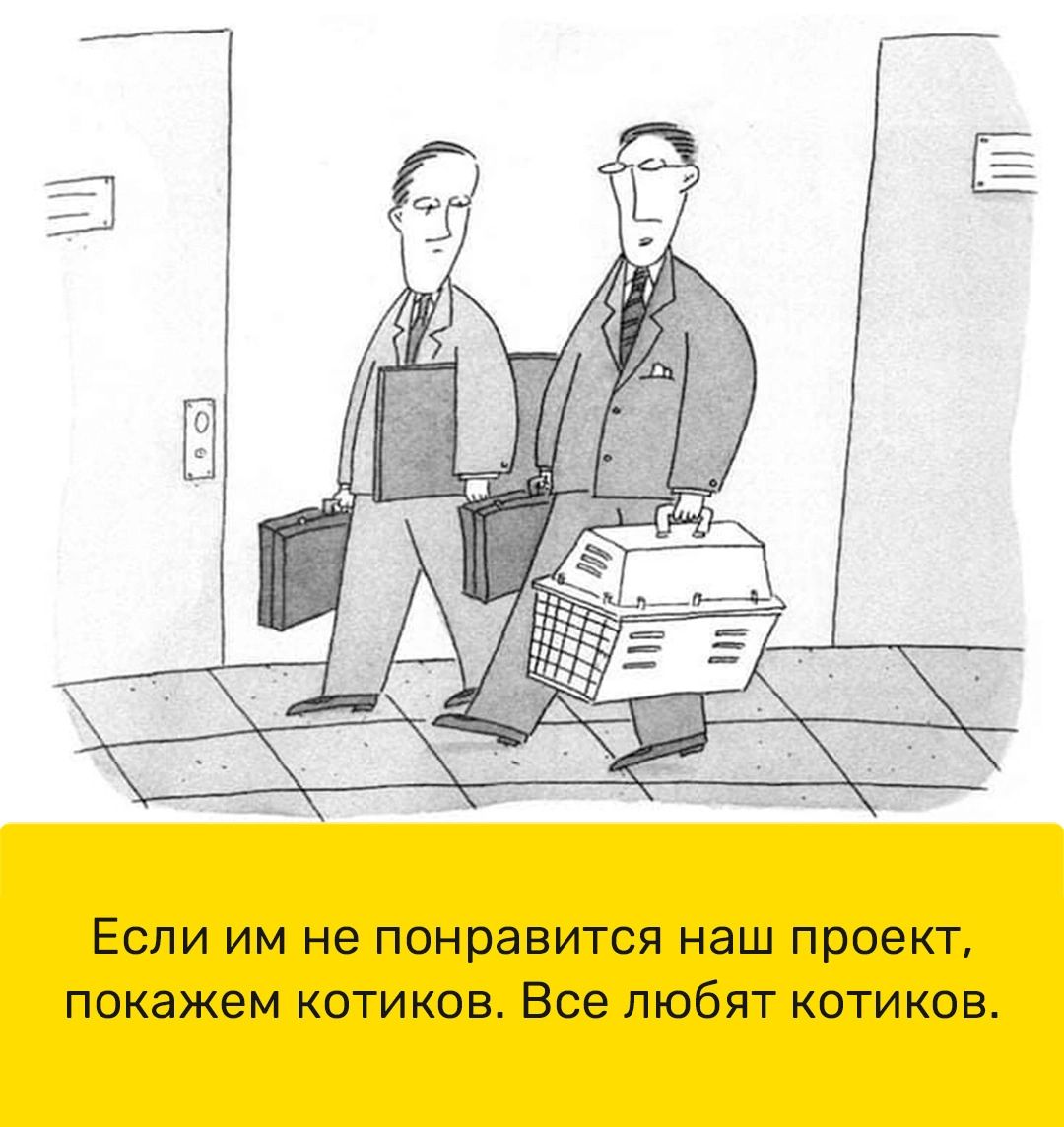 ЕСЛИ ИМ не понравится наш проект покажем КОТИКОБ Все ПЮбЯТ КОТИКОВ