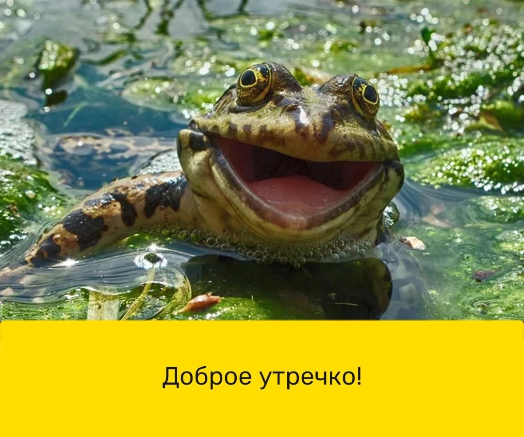 Доброе утречка