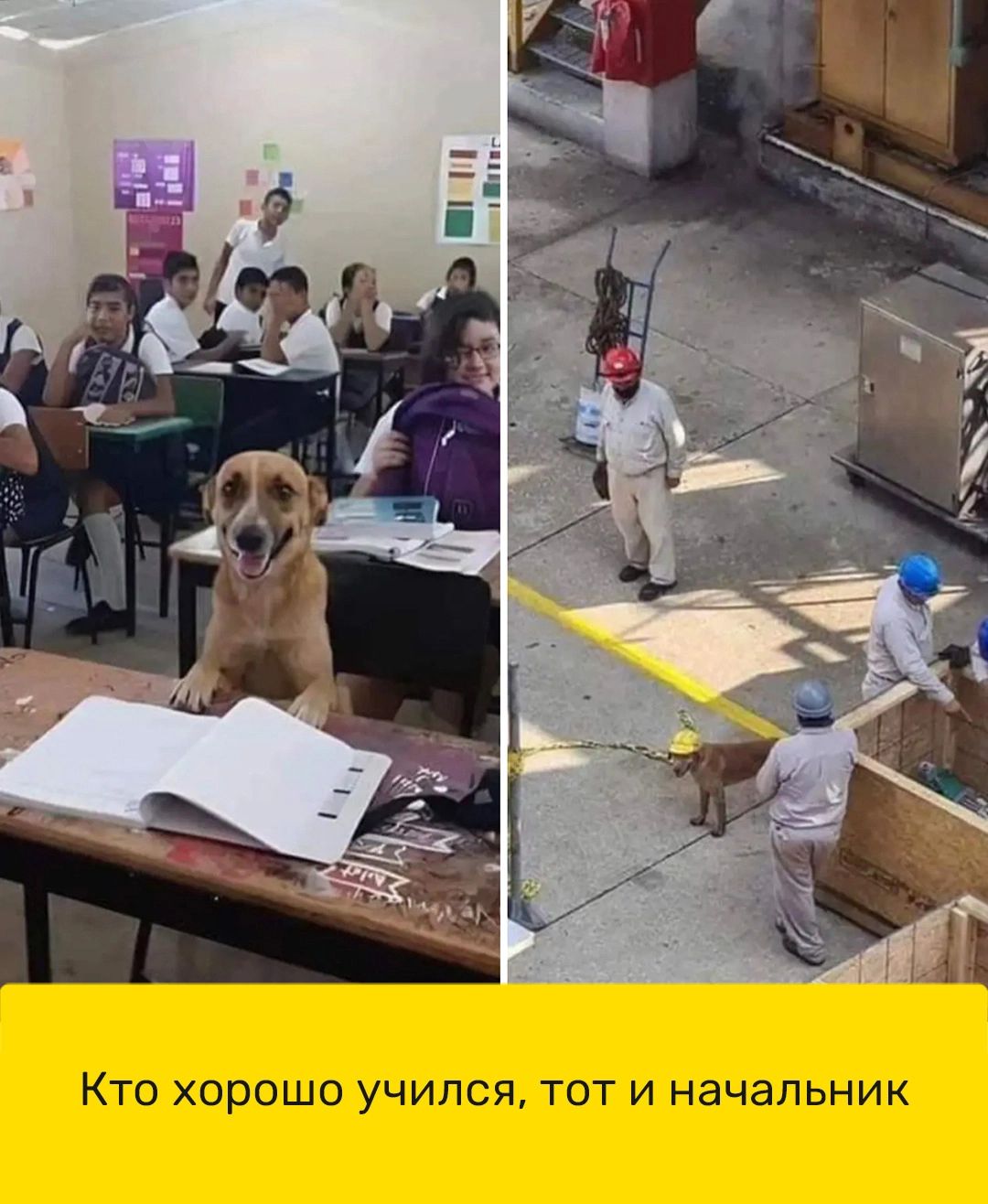 Кто хорошо учился тот И начальник