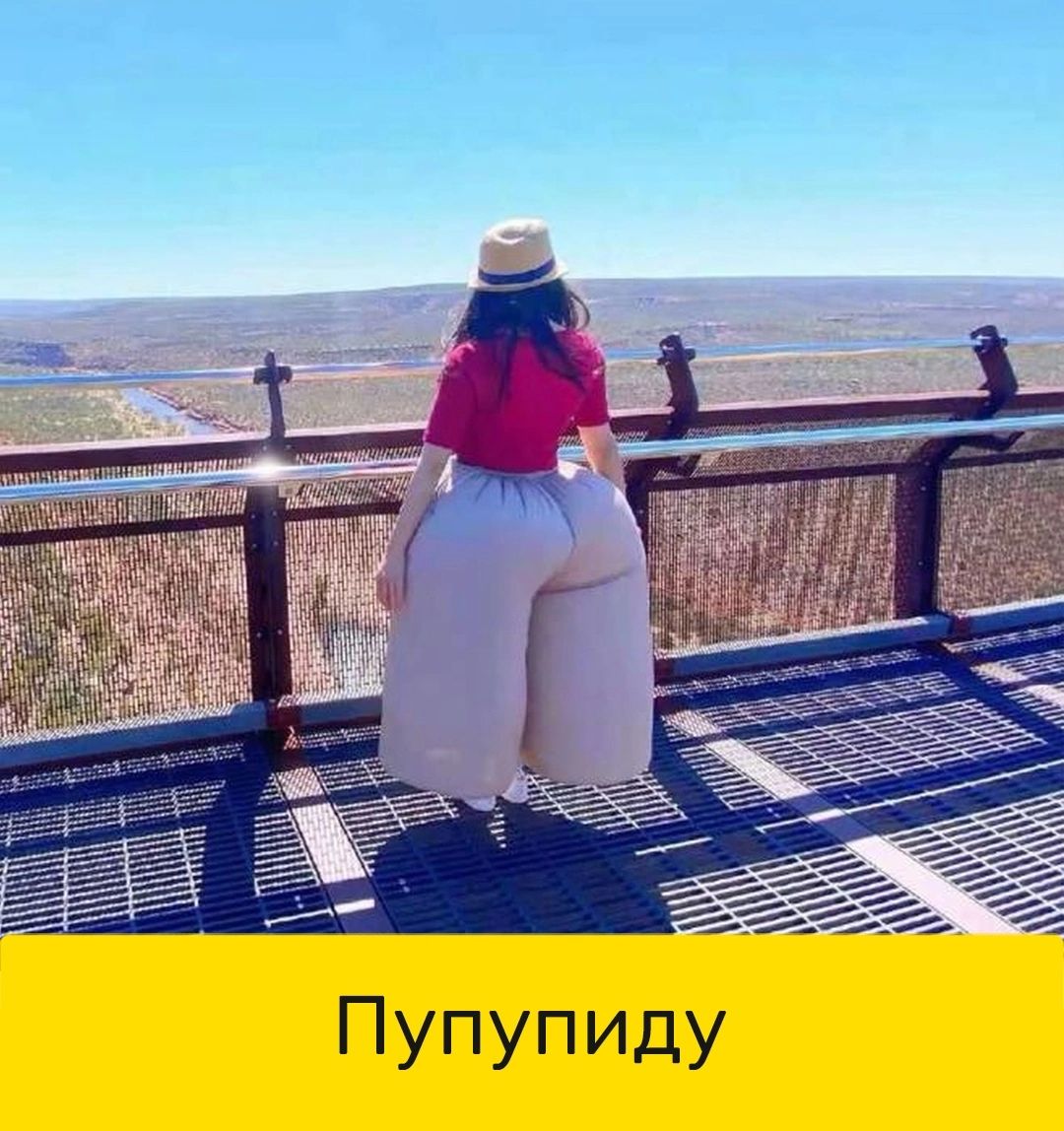 у Д И П у П у П