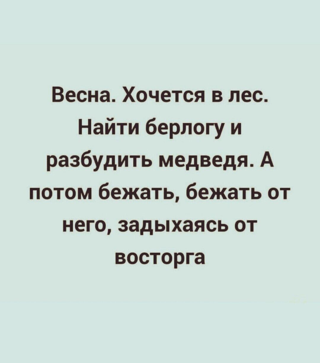 Весна Хочется в лес Найти берлогу и разбудить медведя А потом бежать бежать от него задыхаясь от восторга