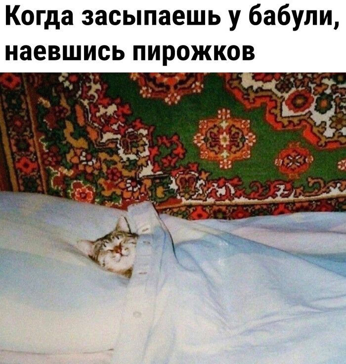 Когда засыпаешь у бабули наевшись пирожков