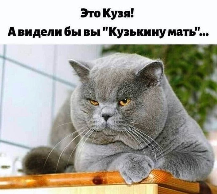 Это Кузя А видели Бы вы Кувькииу мать