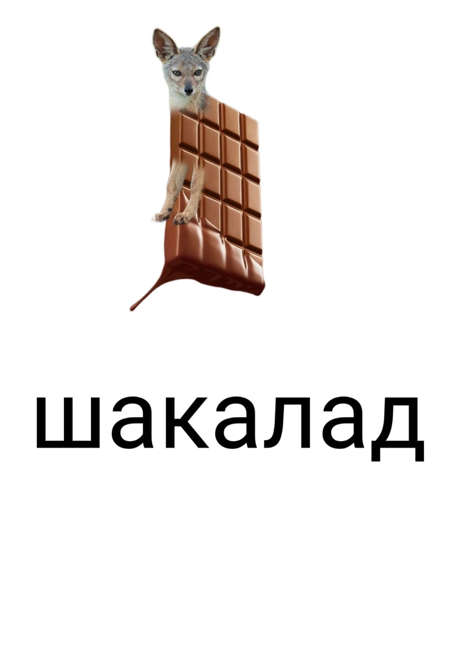 шакалад