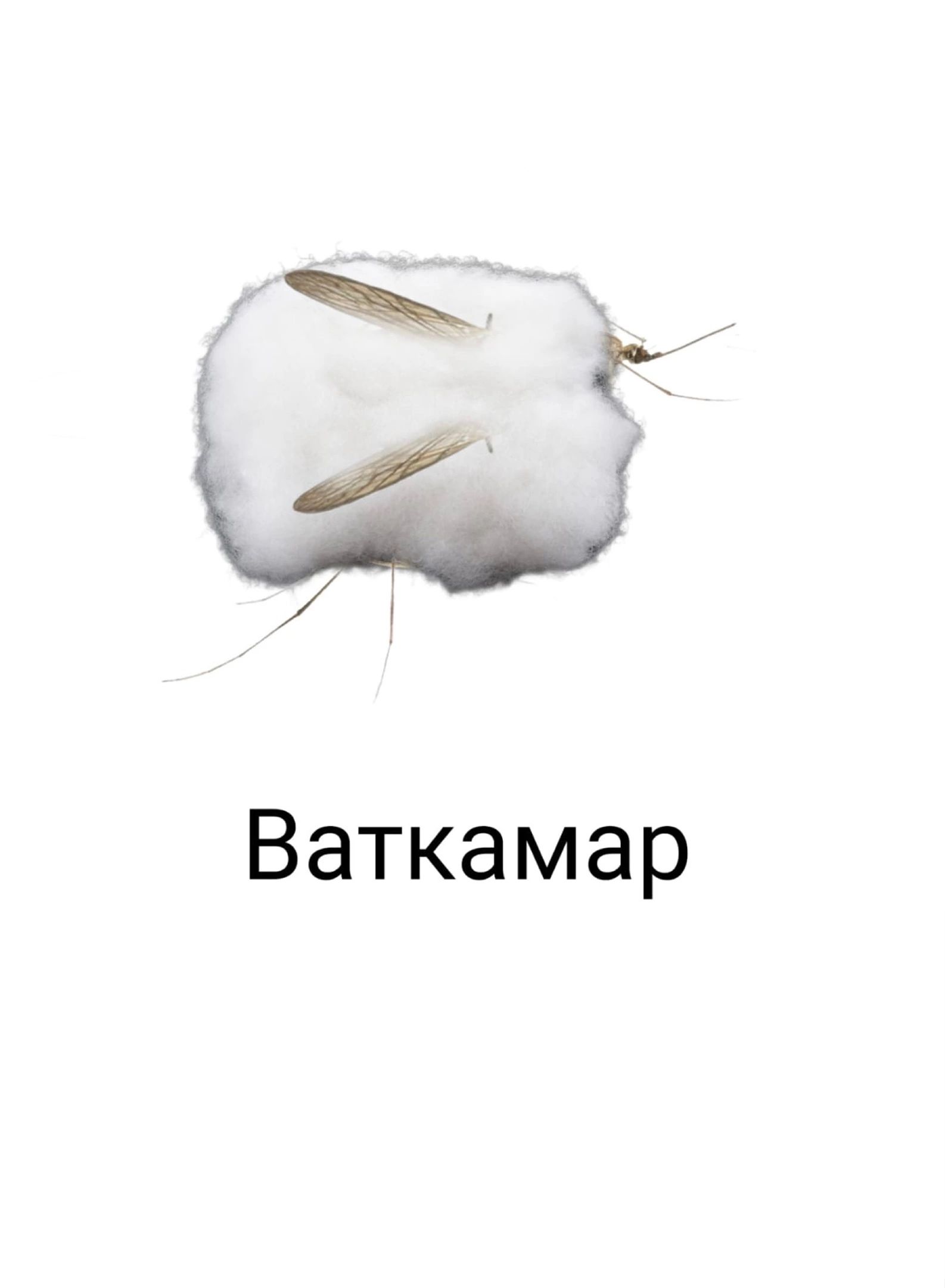 Ваткамар