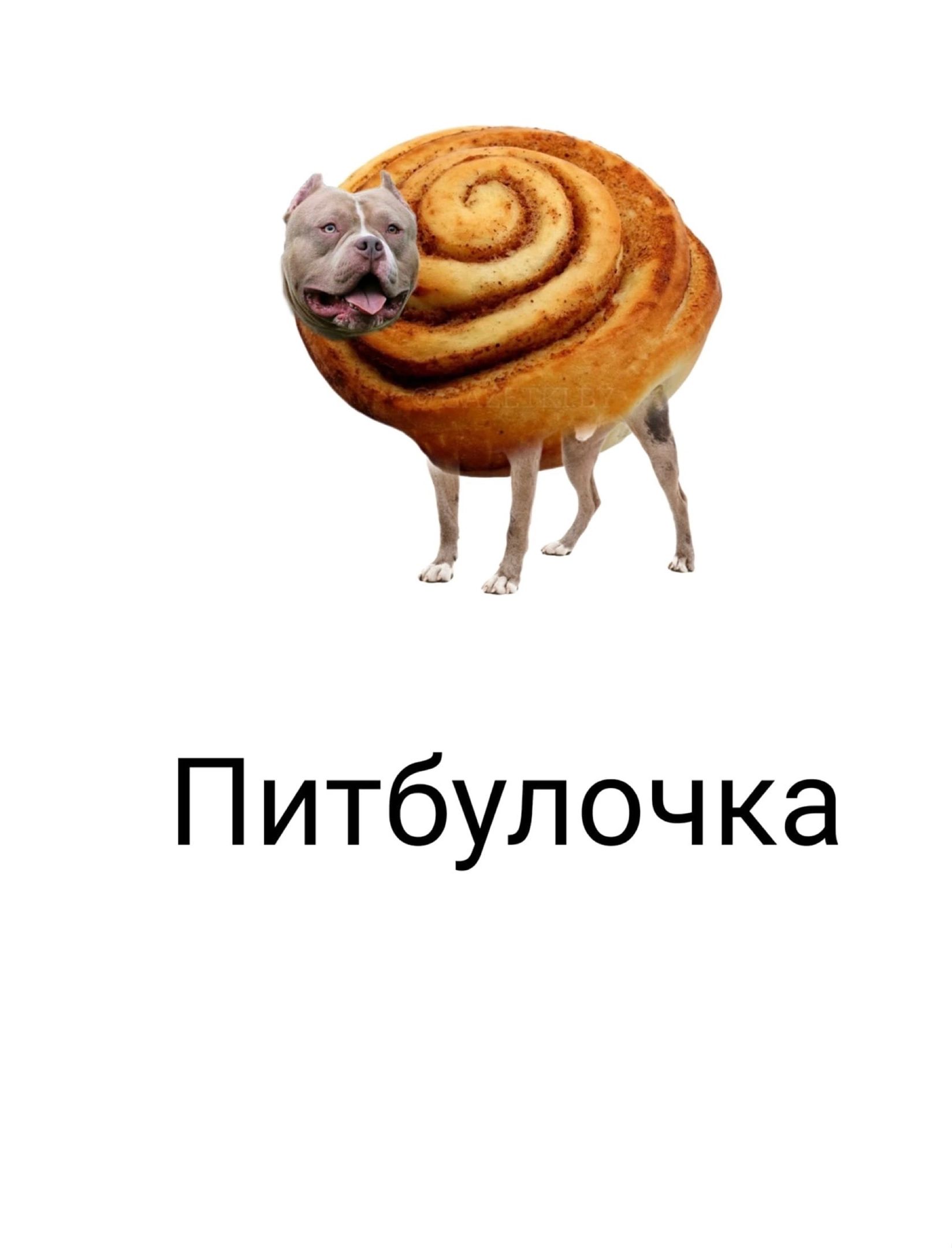 Питбулоч ка