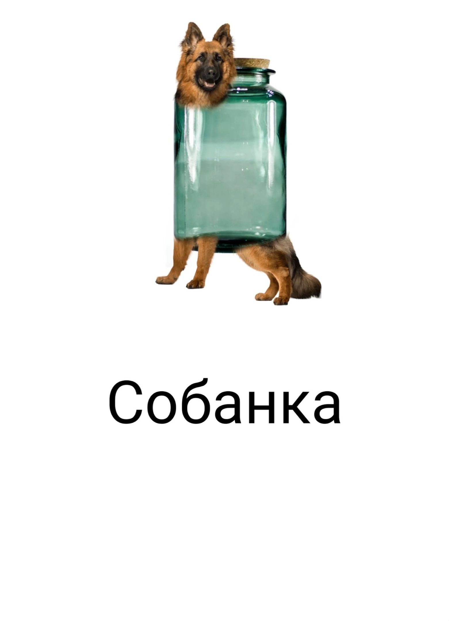 Собанка