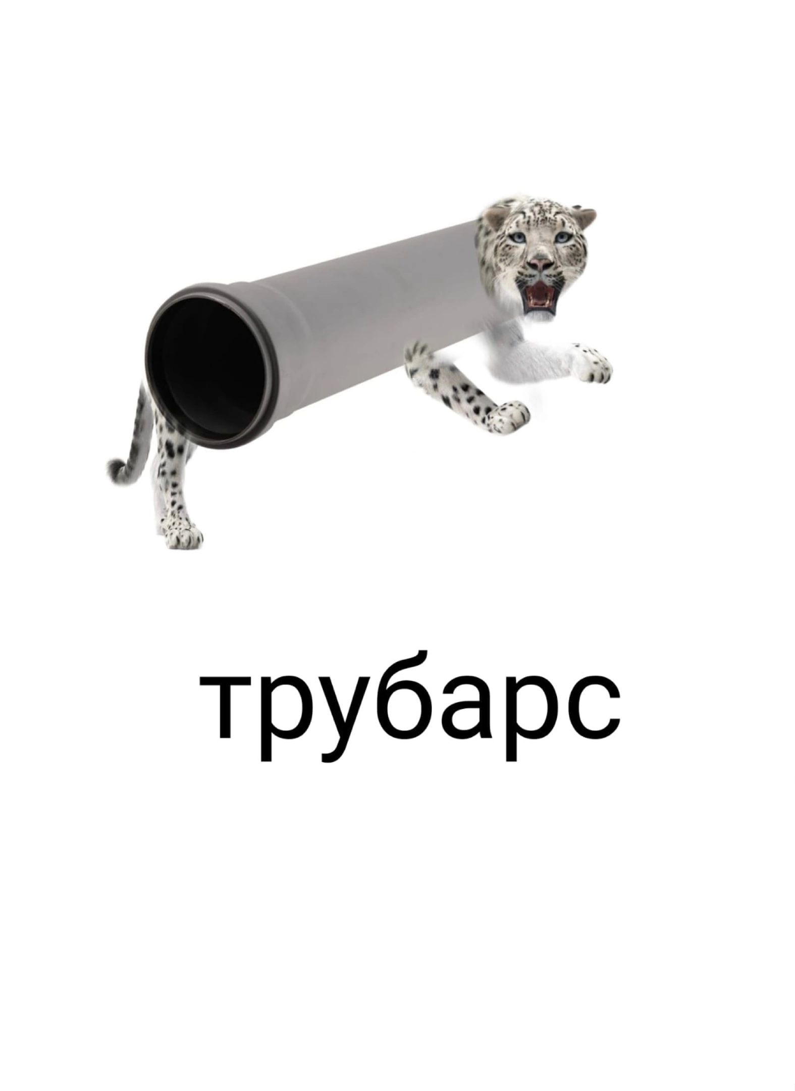_ Ъ 9 трубарс