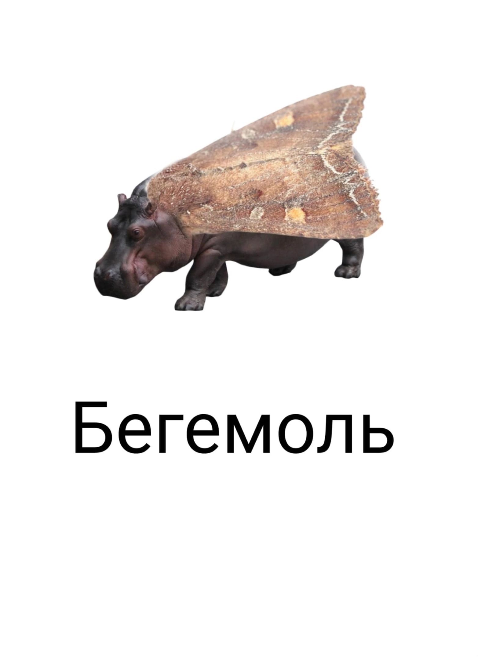 Бегемопь