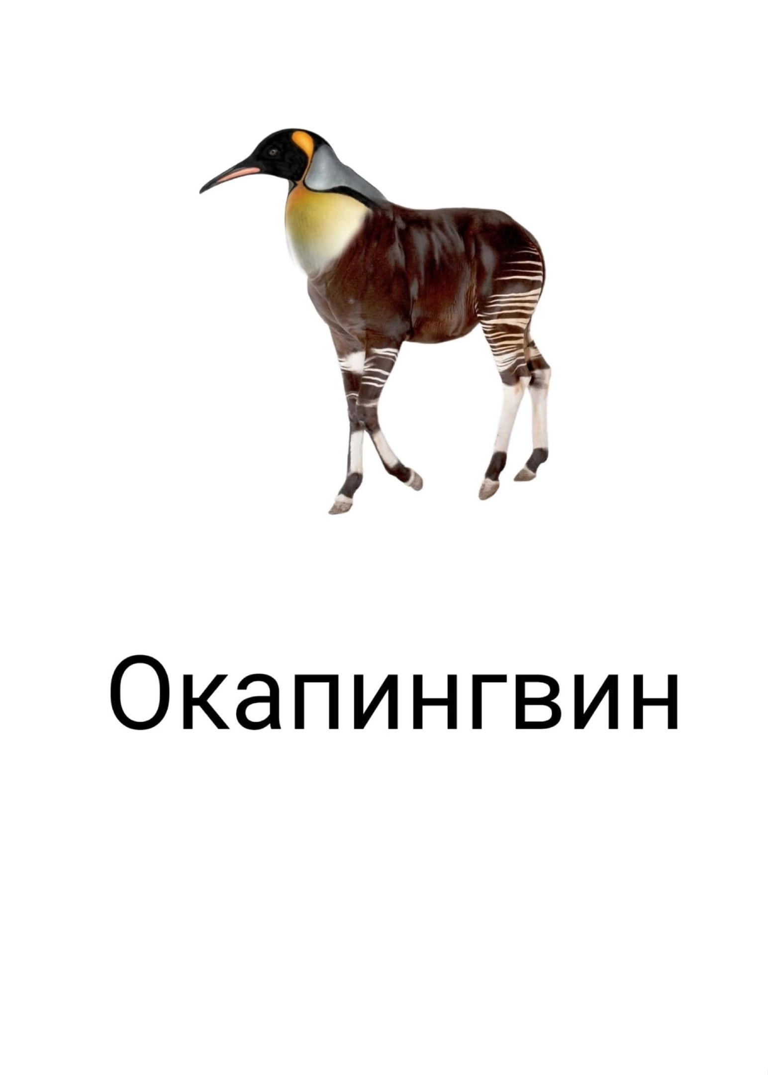 Ъ Окапингвин