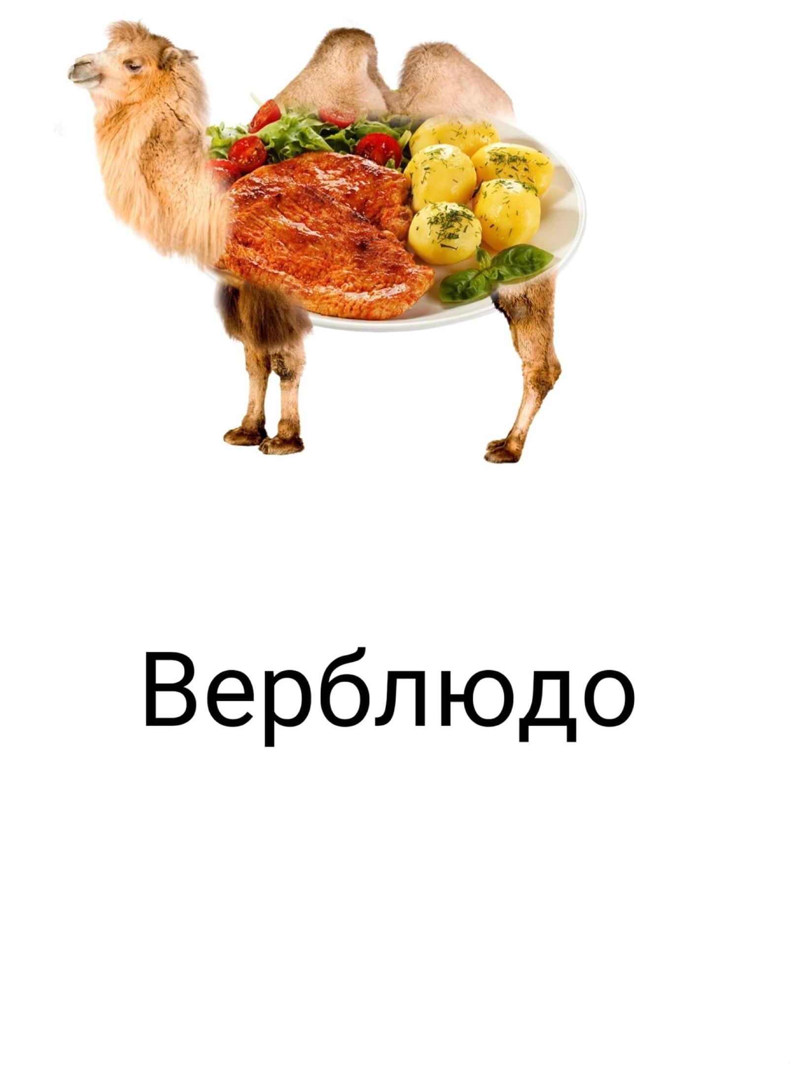 Вербл юдо