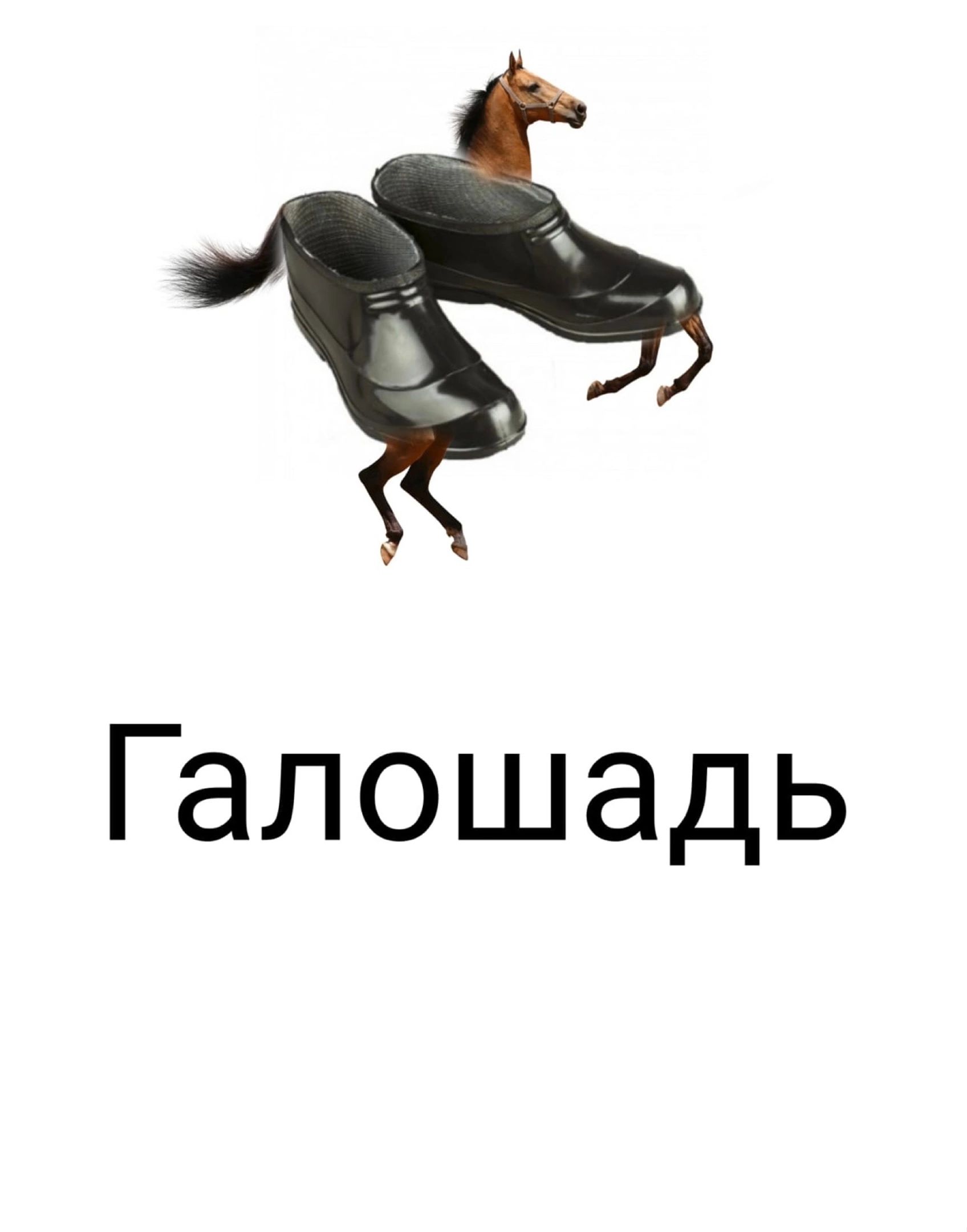 Галошадь