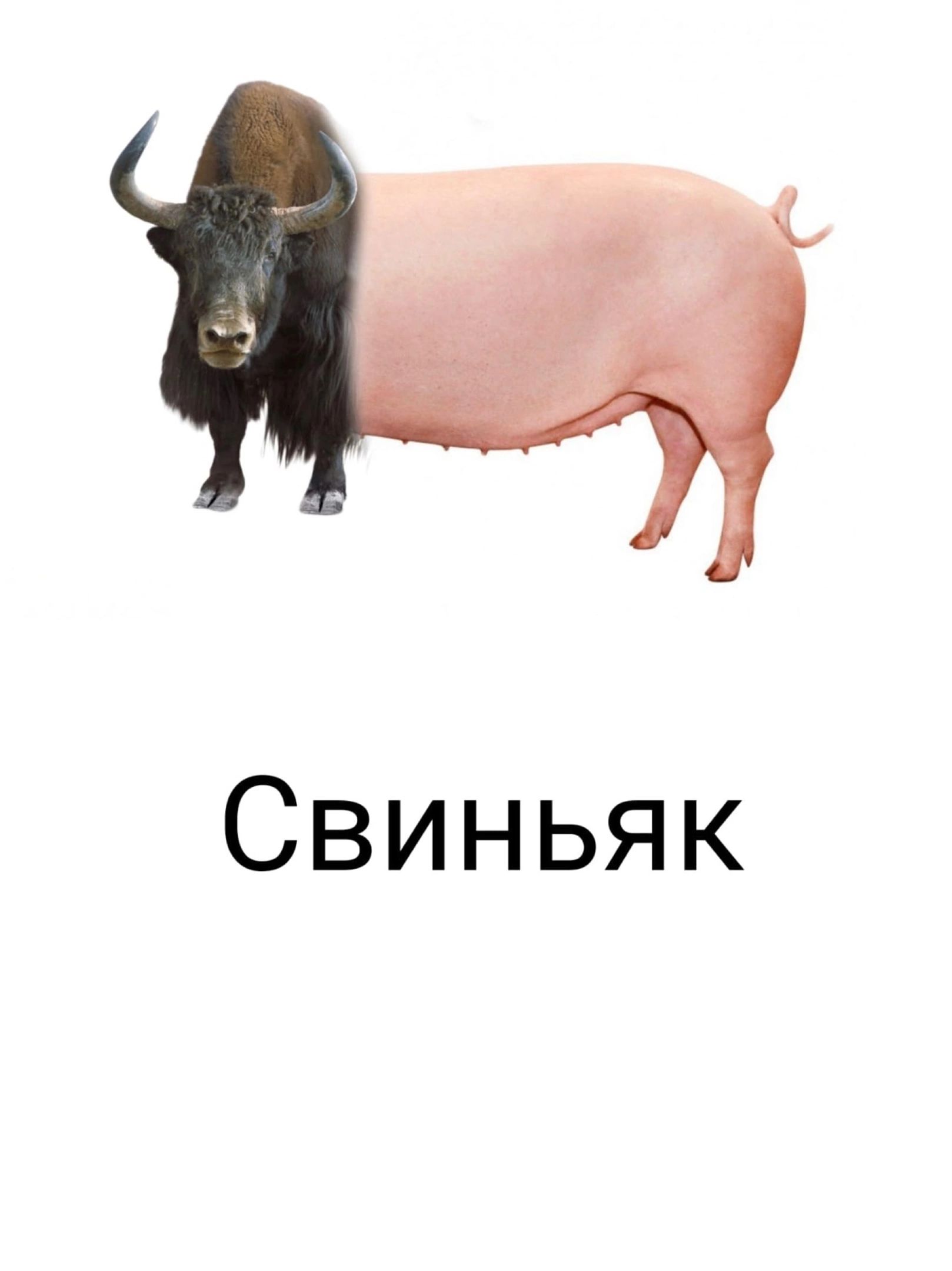 Свиньяк