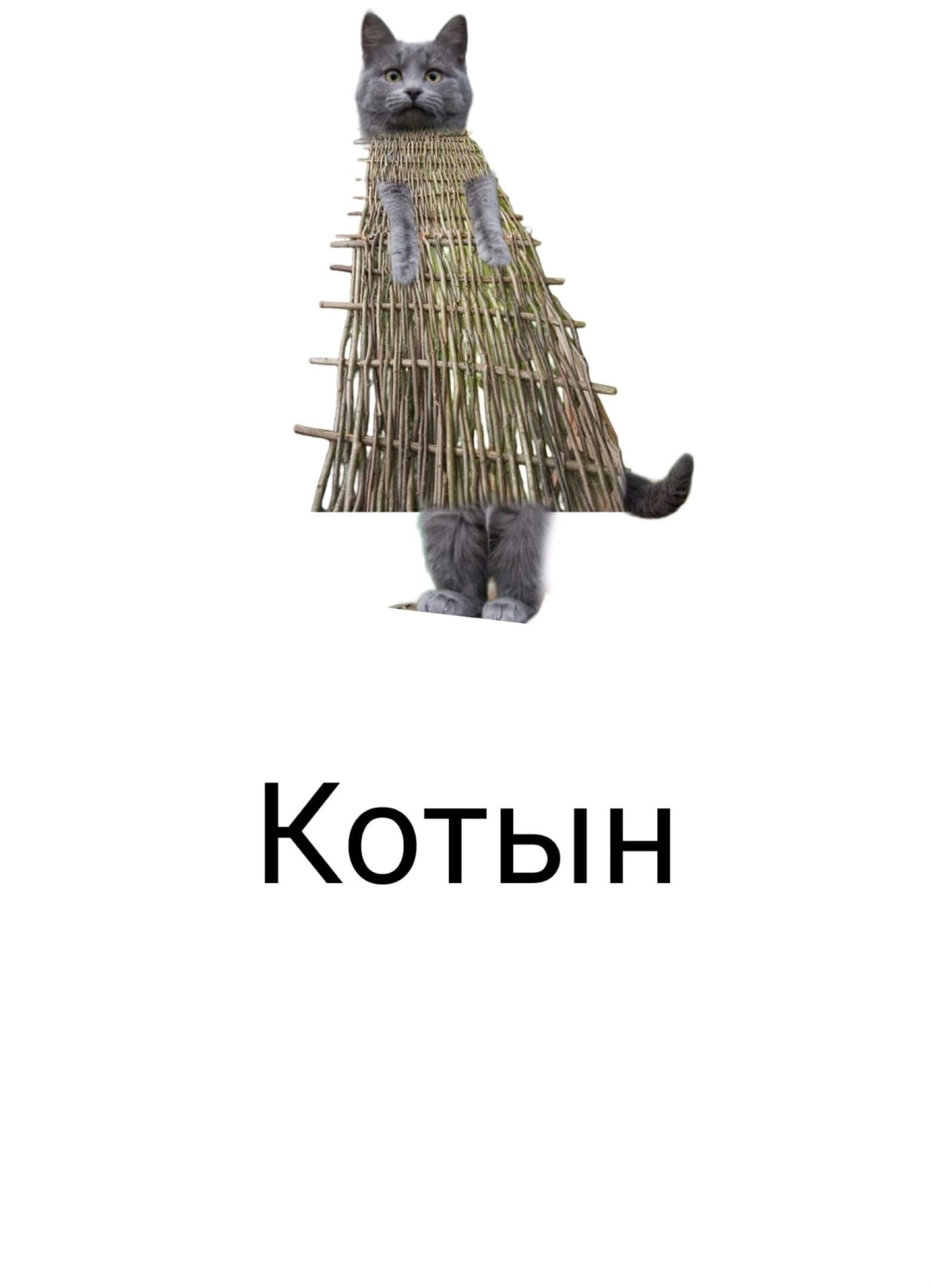 Котын
