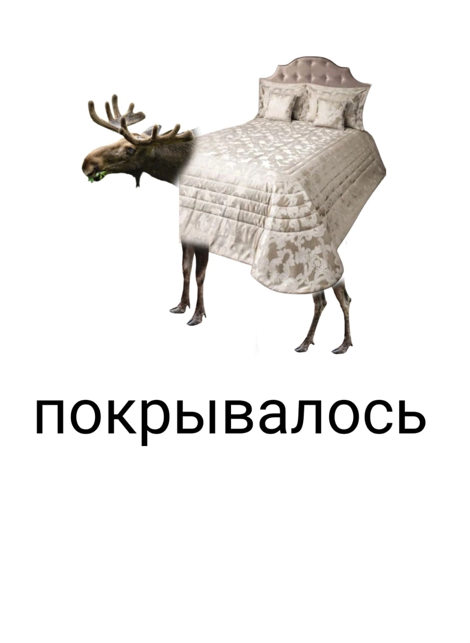 ПОКРЫВЭЛОСЬ