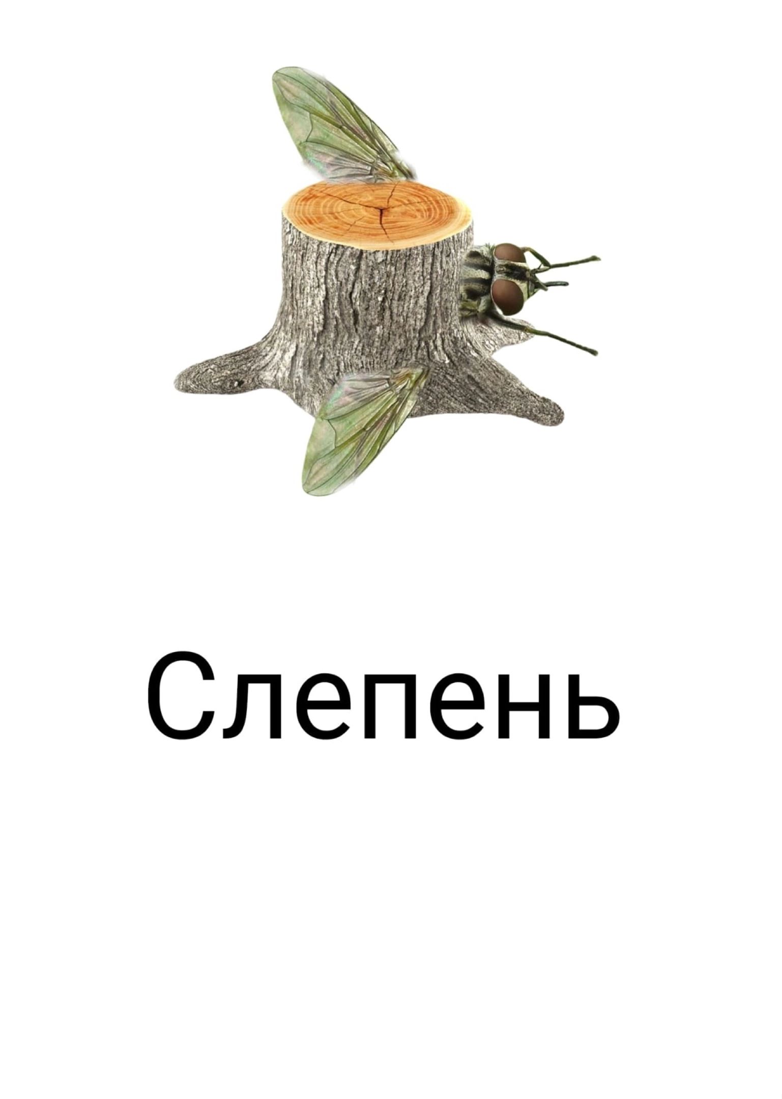 Слепень