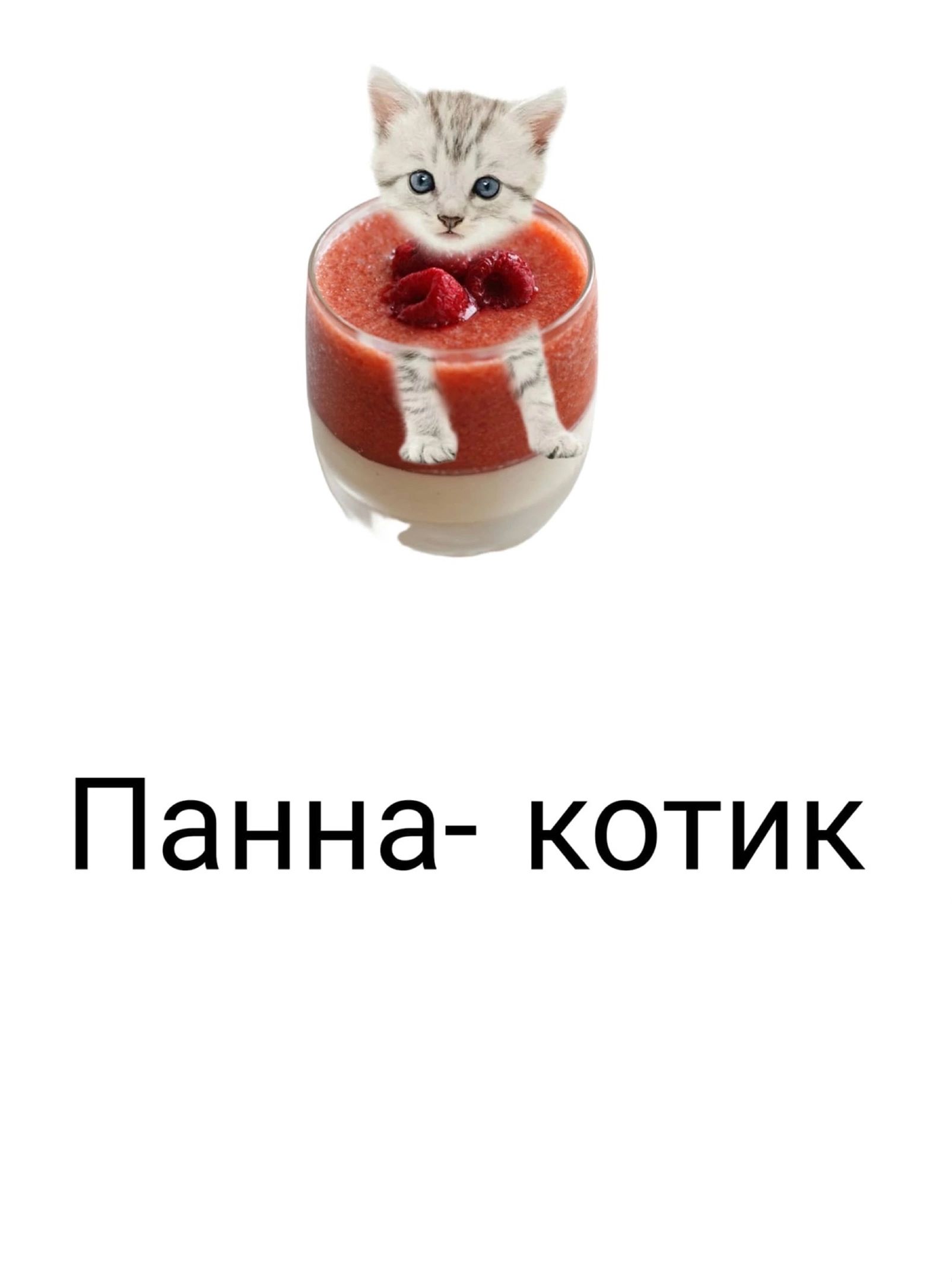 1 д Панна котик