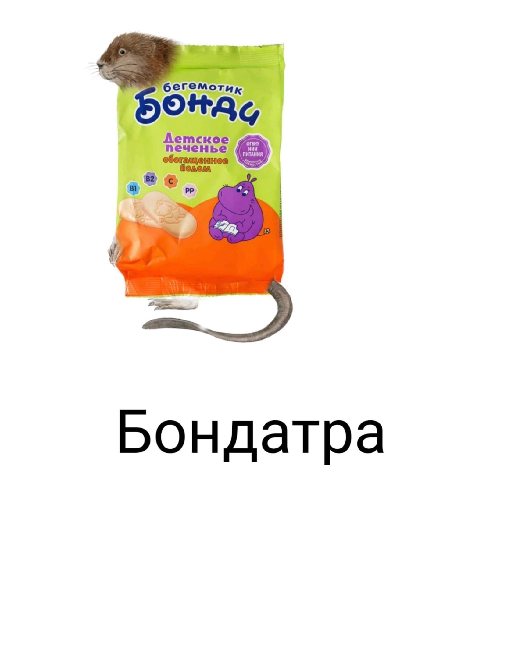 Бондатра