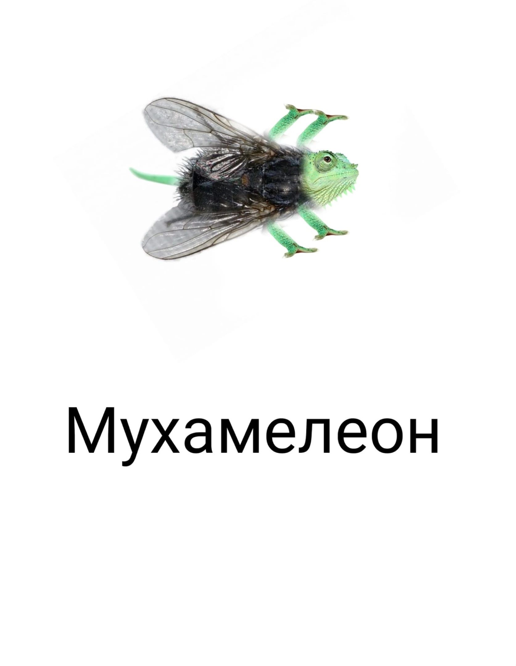 Мухамелеон