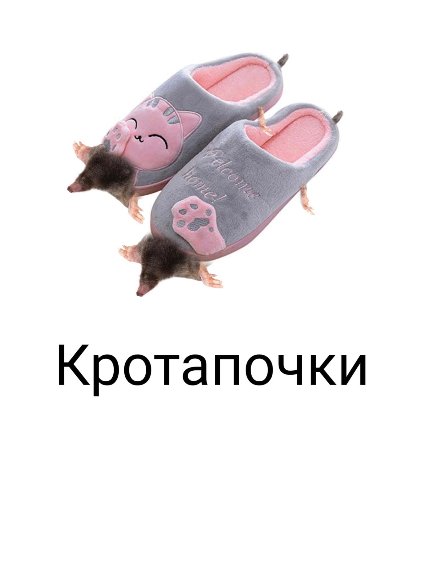 Кротапочки