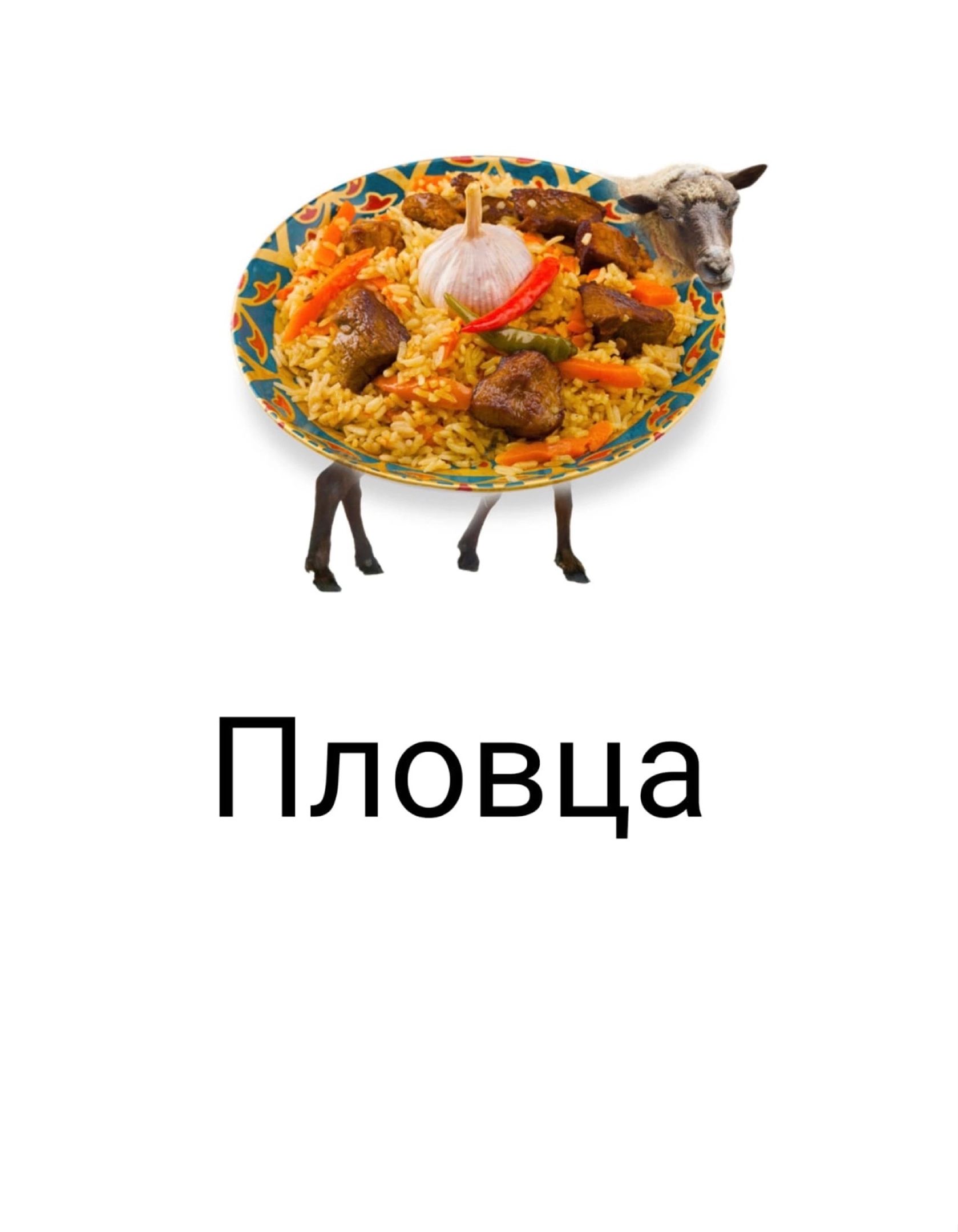 Пловца