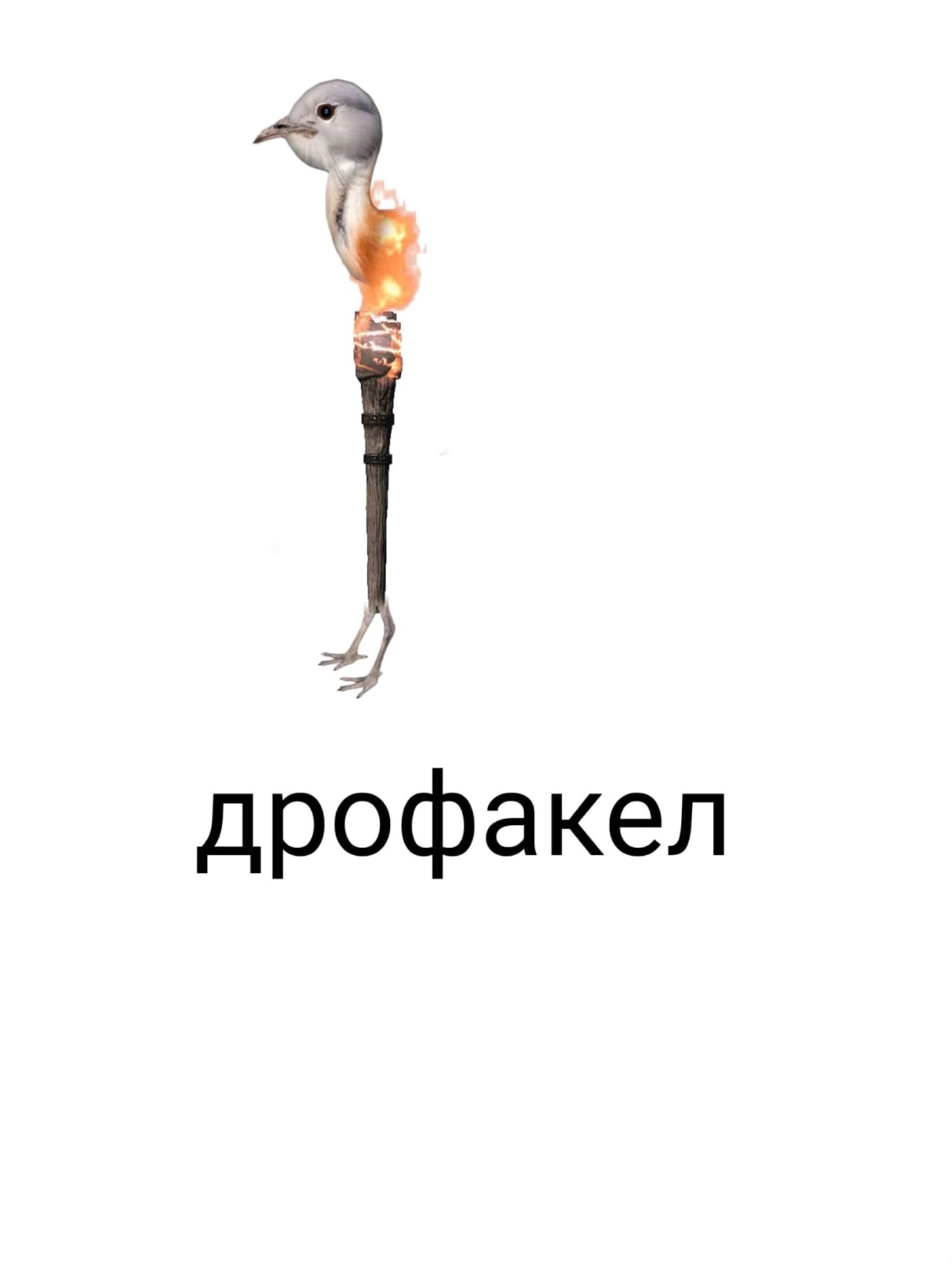 дрофакел