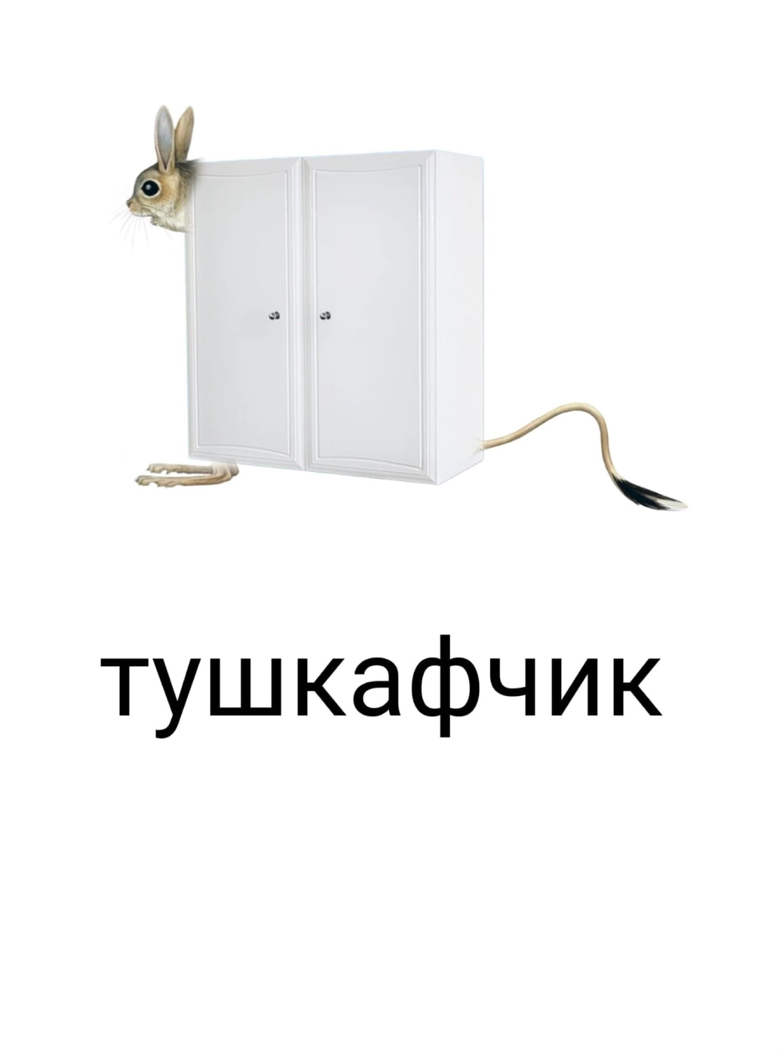 4 тушкафчик