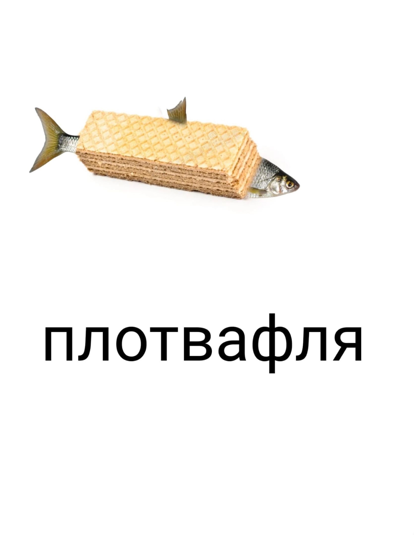 плотвафля
