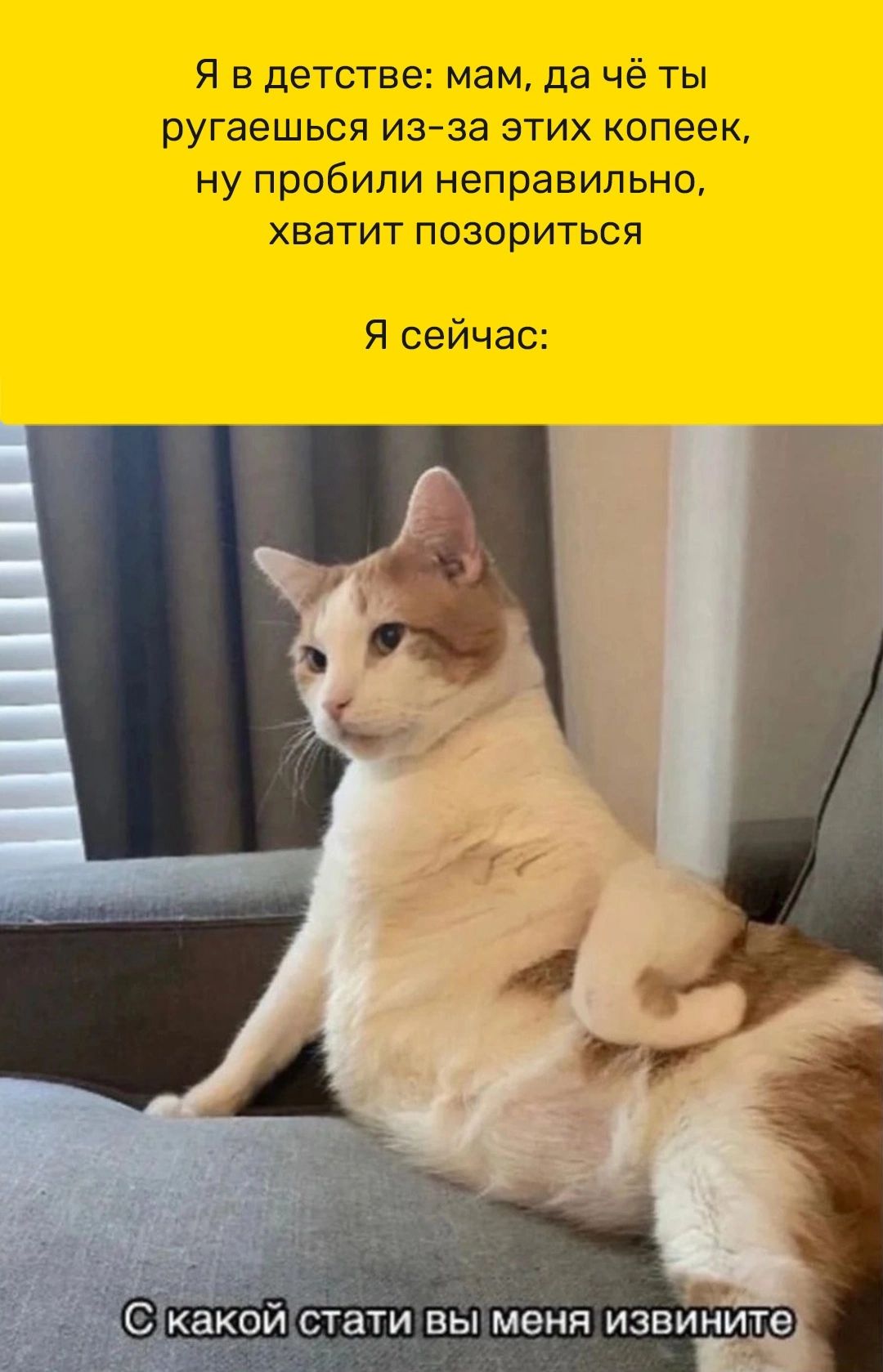 Я В детстве мам да Чё ТЫ ругаешьсп из за этих копеек ну пробили неправильно хватит позориться Я сейчас цСкакой стати вы меня извините