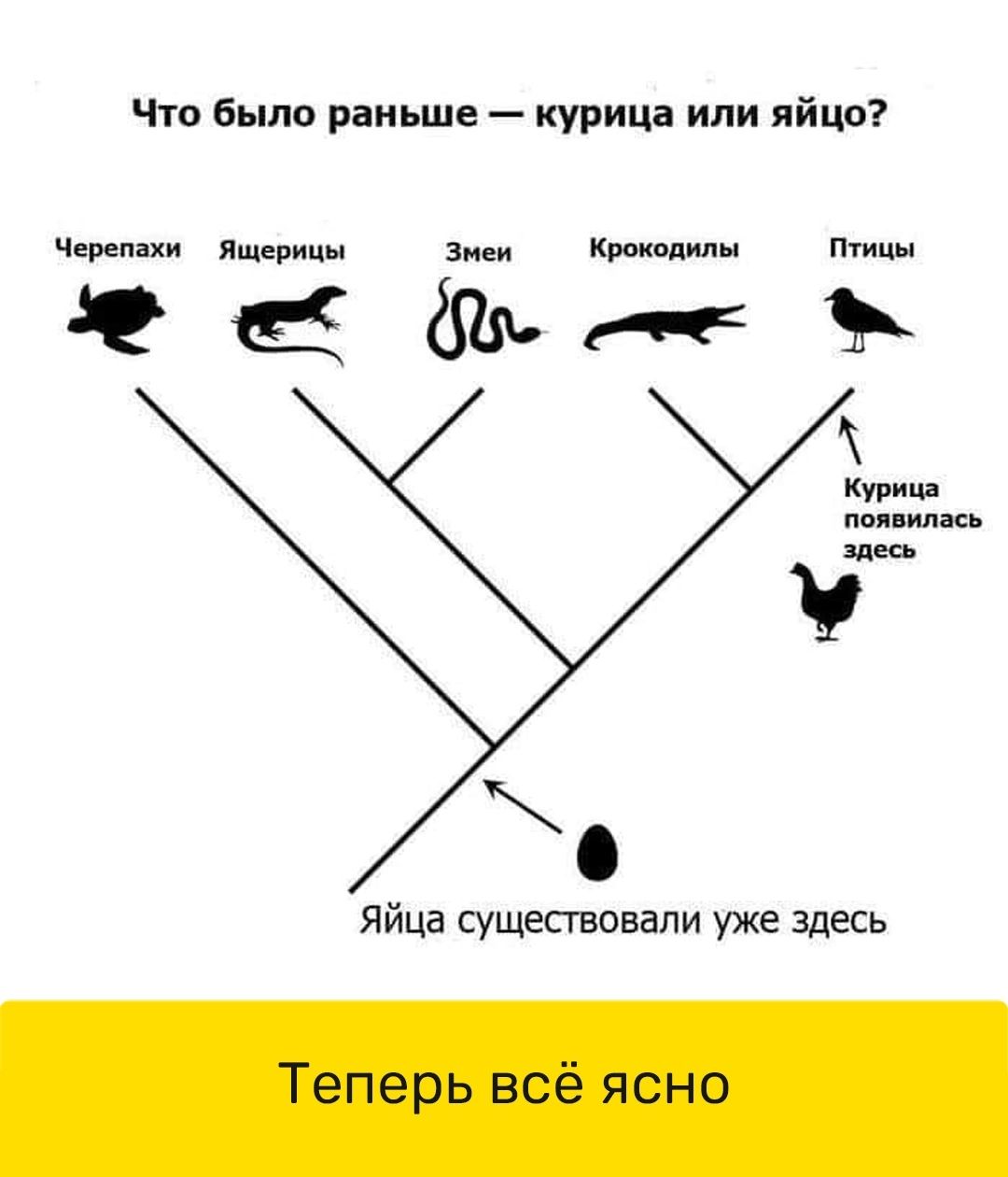 Чт было раньше курица ипи яйцо Черепахи Ящерицы зи принципы тины ЬгЁЪ курии пылили Яйца существовали уже здесь