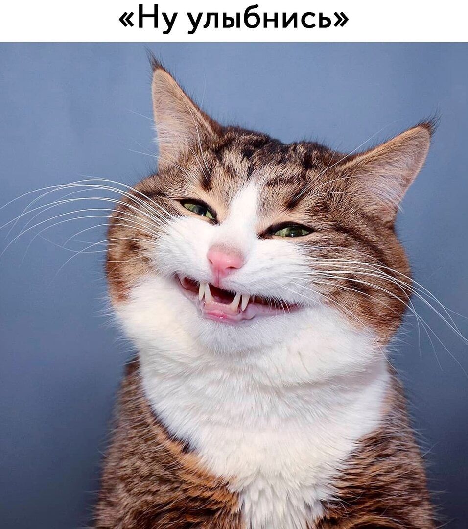 Ну улыбнись