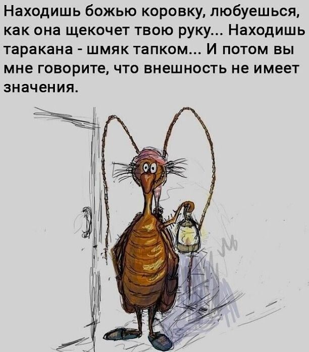 Находишь божью коронку любуешься как она щекочет ТВОЮ руку находишь таракана ШМЯК ТЗПКОМ И ПОТОМ ВЫ мне говорите что внешность не имеет значения
