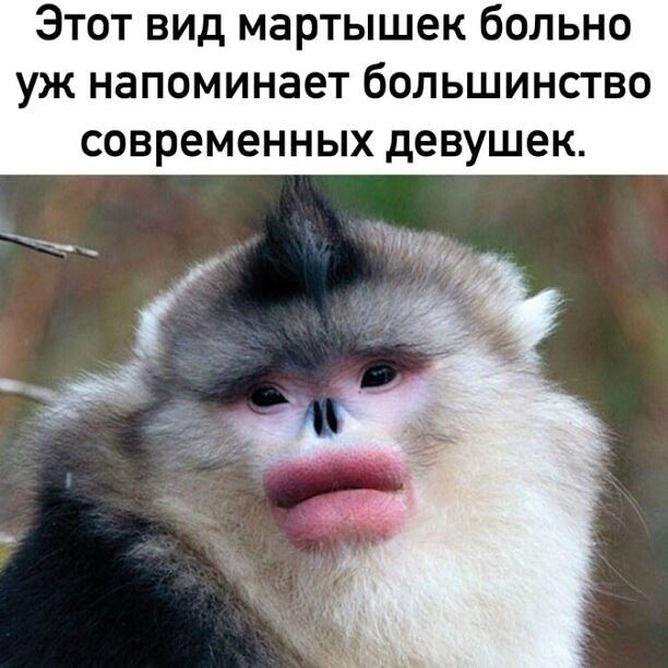 ЭТОТ ВИД МЗРТЫШЗК бОЛЬНО УЖ НЗПОМИНЗЭТ бОЛЬШИНСТВО современных девушек