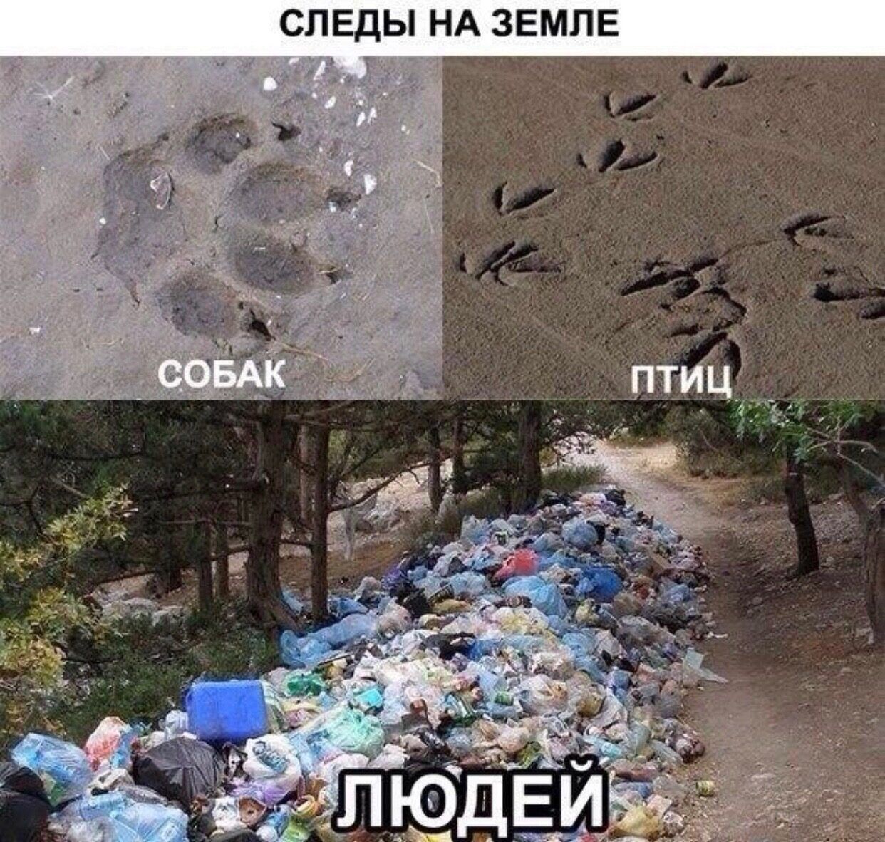Е П М Е 3 А Н П С