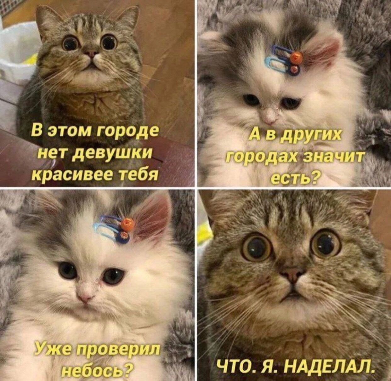 В этом гораде н9т девушки красивее тебя что я нддЕлдл