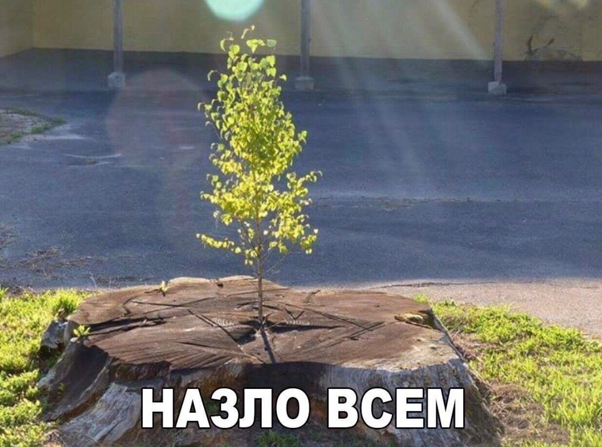 2 ОНАЗЛО ВСЕМ