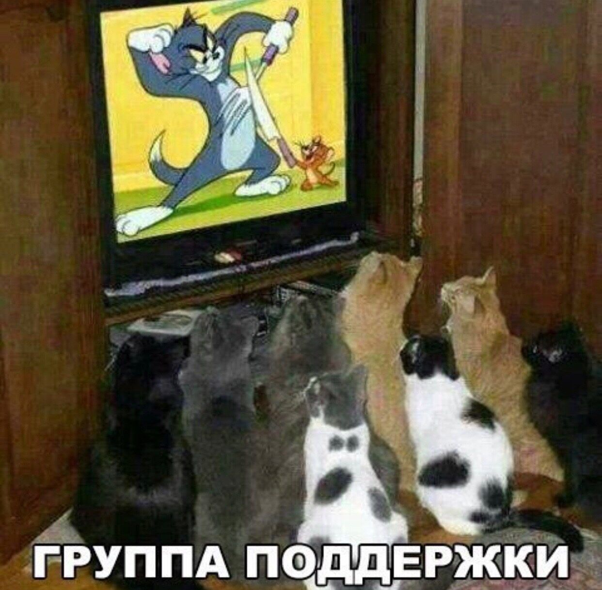 ГРУППА ПОДД і__вв