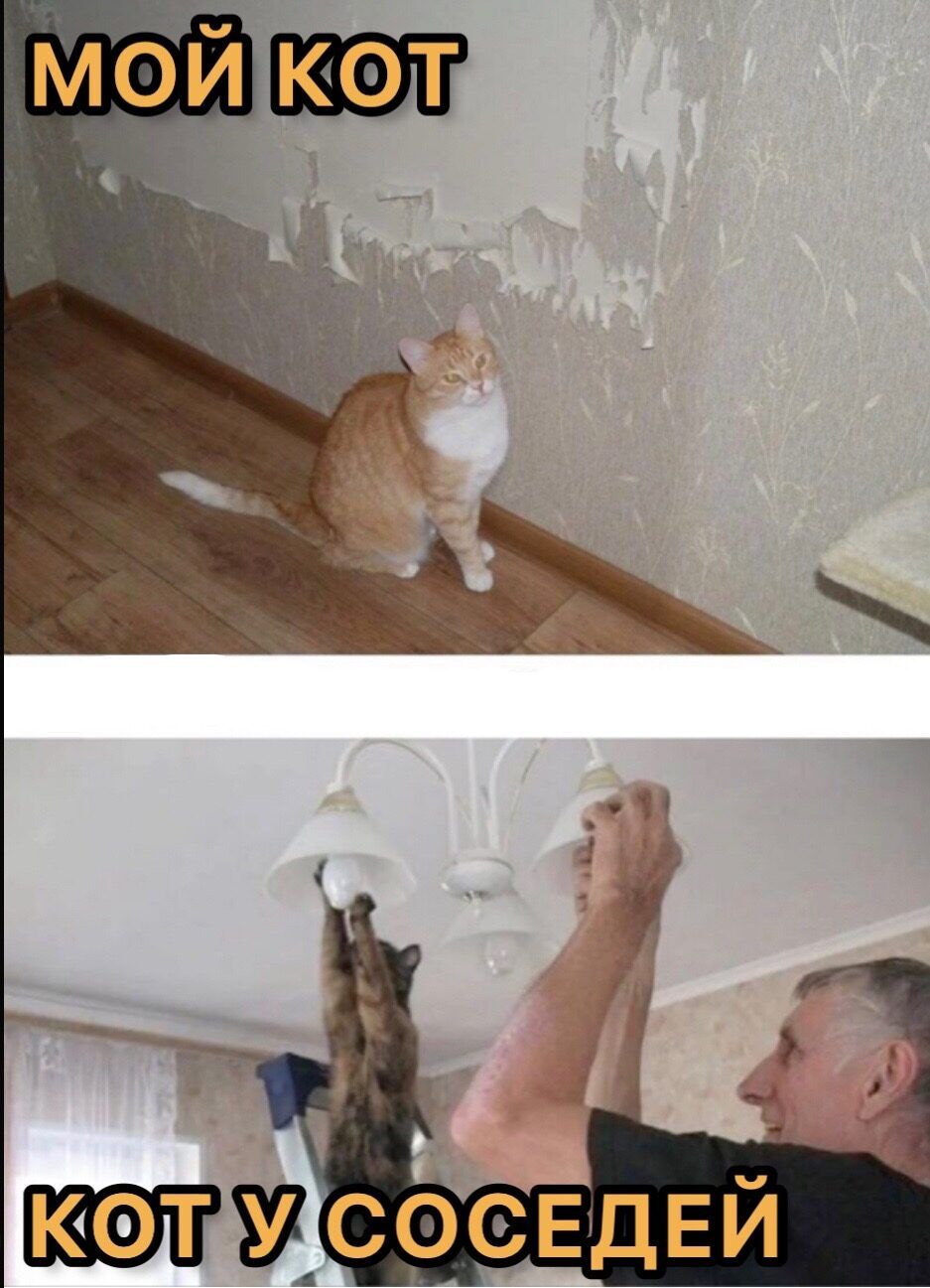 у _ тщсосвдвй