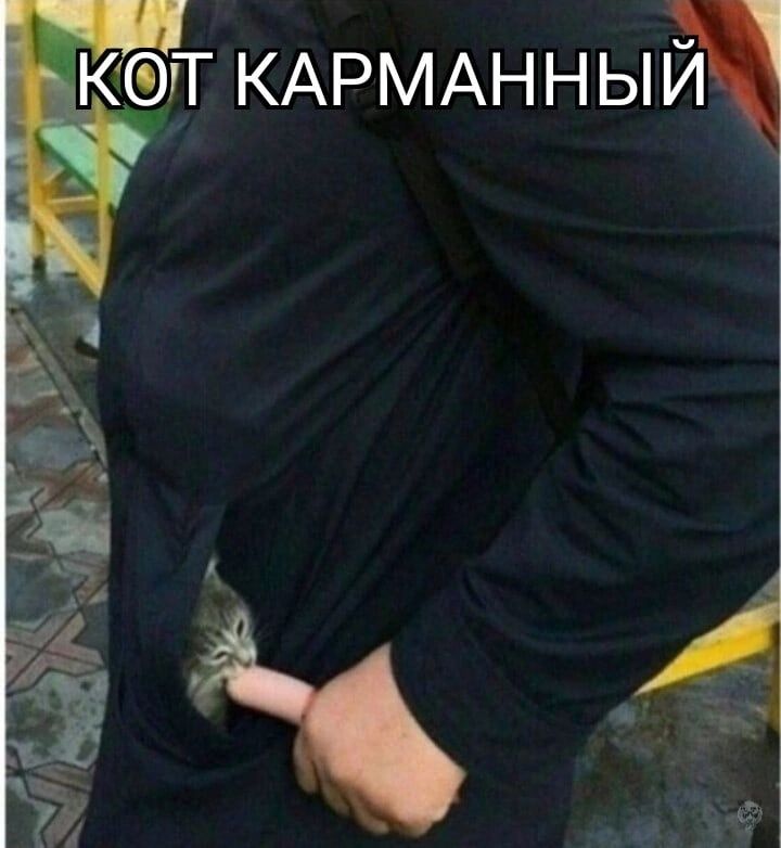 Т КАРМАННЬНЫ