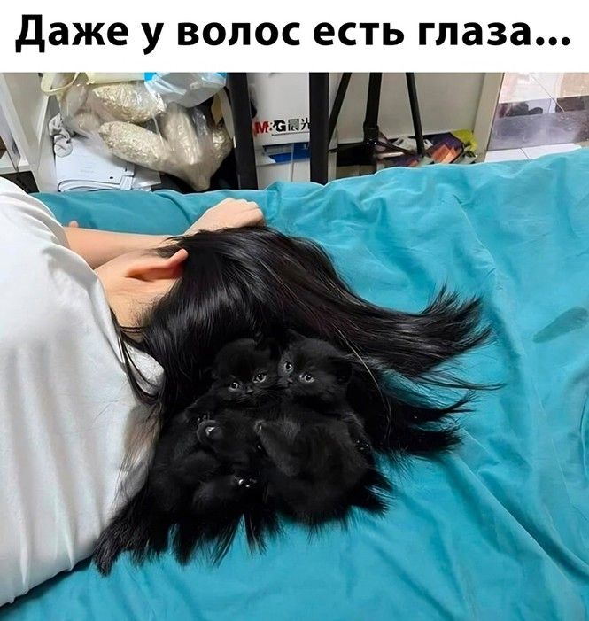 даже у волос есть глаза