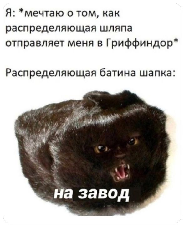 Я мечтаю о том как распределяющая шляпа отправляет меня в Гриффиндор Распределяющая батина шапка і іа завод