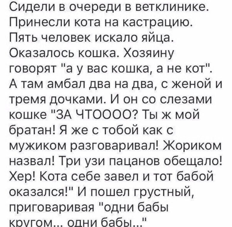 Сидели в очереди в ветклинике Принесли кота на кастрацию Пять человек искало яйца Оказалось кошка Хозяину говорят а у вас кошка а не кот А там амбал два на два с женой и тремя дочками И он со слезами кошке ЗА ЧТОООО Ты ж мой братан Я же с тобой как с мужиком разговаривал Жориком назвал Три узи пацанов обещало Хер Кота себе завел и тот бабой оказался И пошел грустный приговаривая одни бабы кругом о