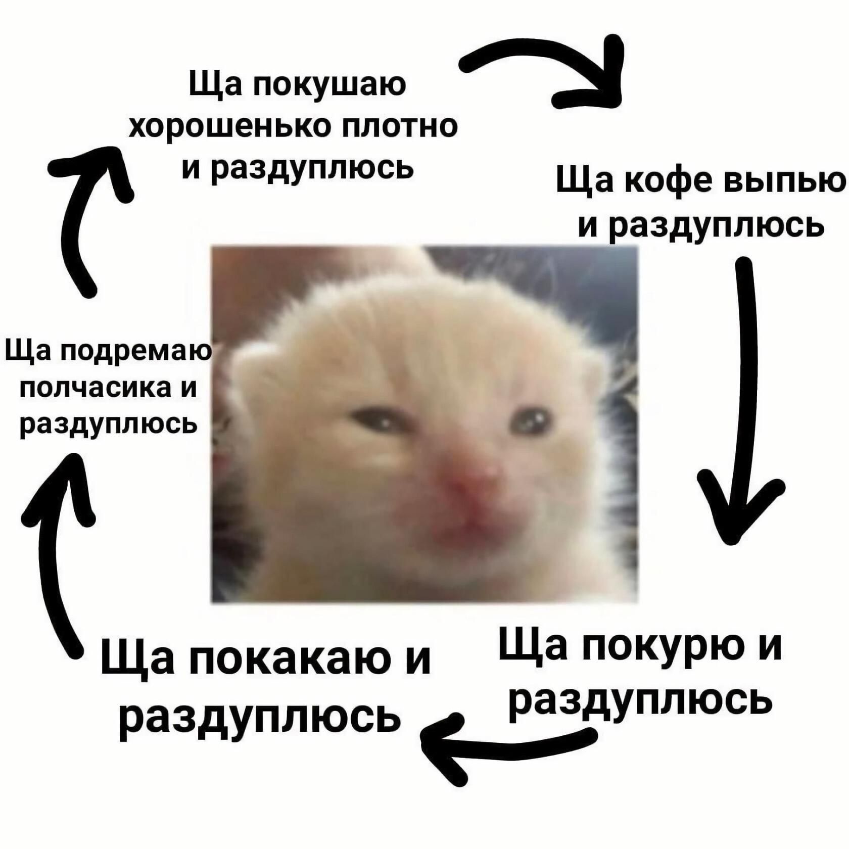Ща покушаю хорошенько плотно раздуппюсь Ща кофе выпью и раздуппюсь Ща подрема полчасика и раздуппюсь Ща покакаю и Ща покурю и раздуплюсь РаздУППюсЬ